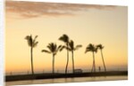 Row of palm trees along breakwater at sunset by Anonymous