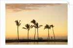 Row of palm trees along breakwater at sunset by Anonymous