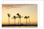 Row of palm trees along breakwater at sunset by Anonymous