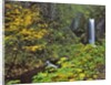 Upper Multnomah Falls by Anonymous