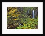 Upper Multnomah Falls by Anonymous