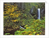 Upper Multnomah Falls by Anonymous