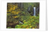 Upper Multnomah Falls by Anonymous
