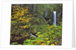 Upper Multnomah Falls by Anonymous