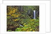 Upper Multnomah Falls by Anonymous