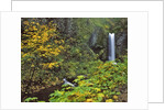 Upper Multnomah Falls by Anonymous