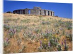 Stonehenge Memorial by Anonymous