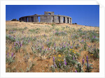 Stonehenge Memorial by Anonymous