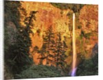 Evening light on Multnomah Falls by Anonymous