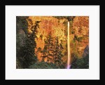 Evening light on Multnomah Falls by Anonymous