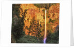 Evening light on Multnomah Falls by Anonymous