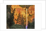 Evening light on Multnomah Falls by Anonymous