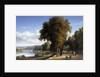 Walk at the park of Saint Cloud by Raymond Esbrat