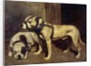 Bulldog and Scottish terrier by Alexandre Gabriel Decamps