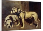 Bulldog and Scottish terrier by Alexandre Gabriel Decamps