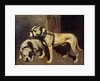 Bulldog and Scottish terrier by Alexandre Gabriel Decamps