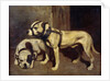 Bulldog and Scottish terrier by Alexandre Gabriel Decamps