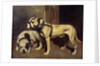 Bulldog and Scottish terrier by Alexandre Gabriel Decamps