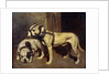 Bulldog and Scottish terrier by Alexandre Gabriel Decamps