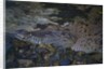 Siamese crocodile by Anonymous