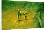 Dog by Anonymous