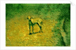 Dog by Anonymous