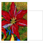 Red Flower by Anonymous