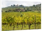 Autumn Vineyards with Bright Color with Villa at on hill by Anonymous