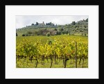 Autumn Vineyards with Bright Color with Villa at on hill by Anonymous