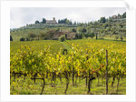 Autumn Vineyards with Bright Color with Villa at on hill by Anonymous