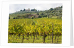 Autumn Vineyards with Bright Color with Villa at on hill by Anonymous
