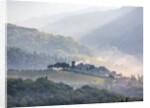 View from above of Tuscan villa and vineyard on a foggy morning by Anonymous