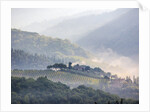 View from above of Tuscan villa and vineyard on a foggy morning by Anonymous