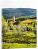 Pieve di Santa Maria Novella Near Radda in Chianti by Anonymous