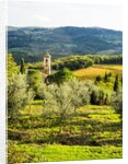 Pieve di Santa Maria Novella Near Radda in Chianti by Anonymous
