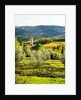 Pieve di Santa Maria Novella Near Radda in Chianti by Anonymous