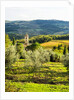 Pieve di Santa Maria Novella Near Radda in Chianti by Anonymous