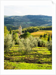 Pieve di Santa Maria Novella Near Radda in Chianti by Anonymous