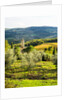Pieve di Santa Maria Novella Near Radda in Chianti by Anonymous
