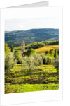 Pieve di Santa Maria Novella Near Radda in Chianti by Anonymous