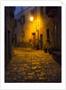 Night scene from the streets of Montefillairi chianti Tuscany by Anonymous