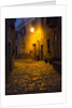 Night scene from the streets of Montefillairi chianti Tuscany by Anonymous