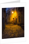 Night scene from the streets of Montefillairi chianti Tuscany by Anonymous