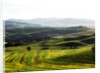 Morning light over the fields of Winter Wheat above the Tuscan Landscape by Anonymous