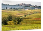 Autumn Vineyards in full color near Montepulciano by Anonymous