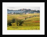 Autumn Vineyards in full color near Montepulciano by Anonymous
