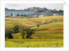 Autumn Vineyards in full color near Montepulciano by Anonymous