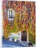 Autumn foliage around Tuscan Villa by Anonymous