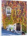 Autumn foliage around Tuscan Villa by Anonymous
