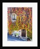 Autumn foliage around Tuscan Villa by Anonymous